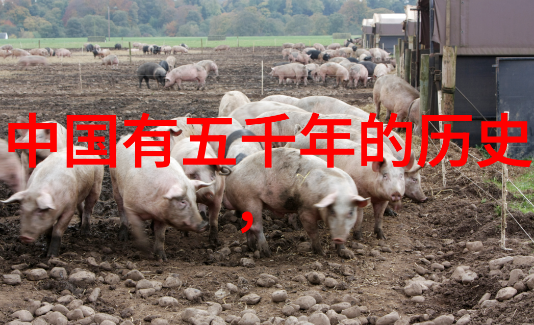 古代卷41西西里之战