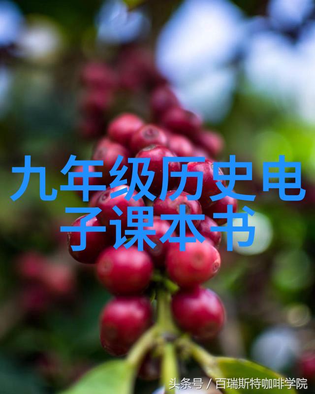 古代卷53乌鸦式战舰